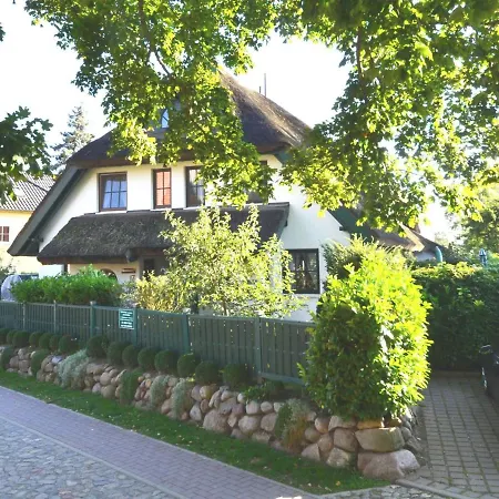 Hébergement de vacances Sanddorn By Interhome Groß Zicker