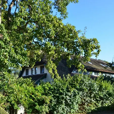 Sanddorn By Interhome *